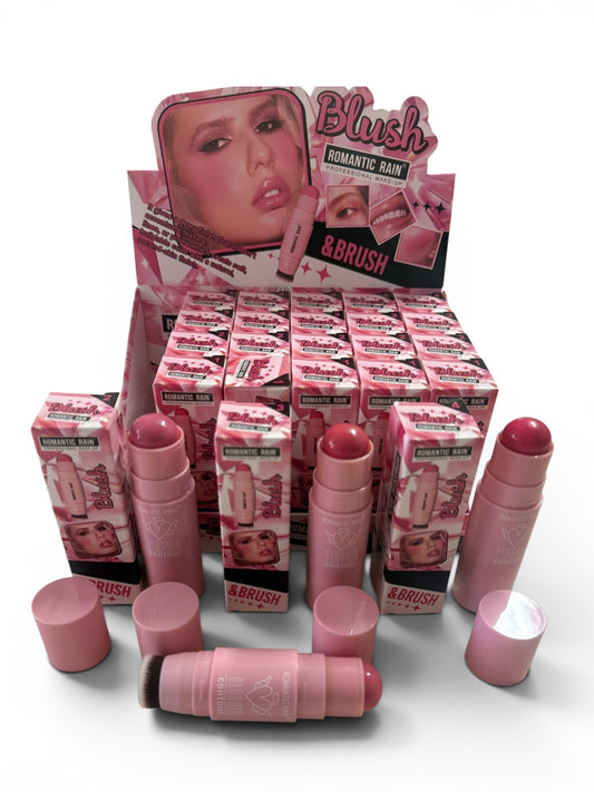 Box 24 Blush con pennello 4 tonalità